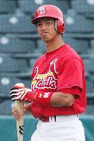 Taguchi headed for minor league